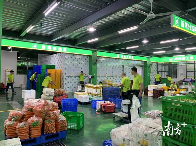 台山果蔬:新趋势下的绿色希望