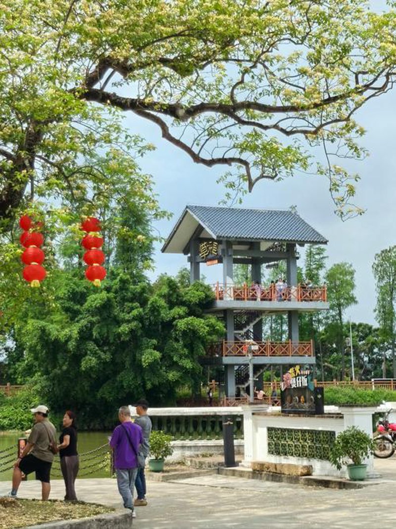 台山农产品