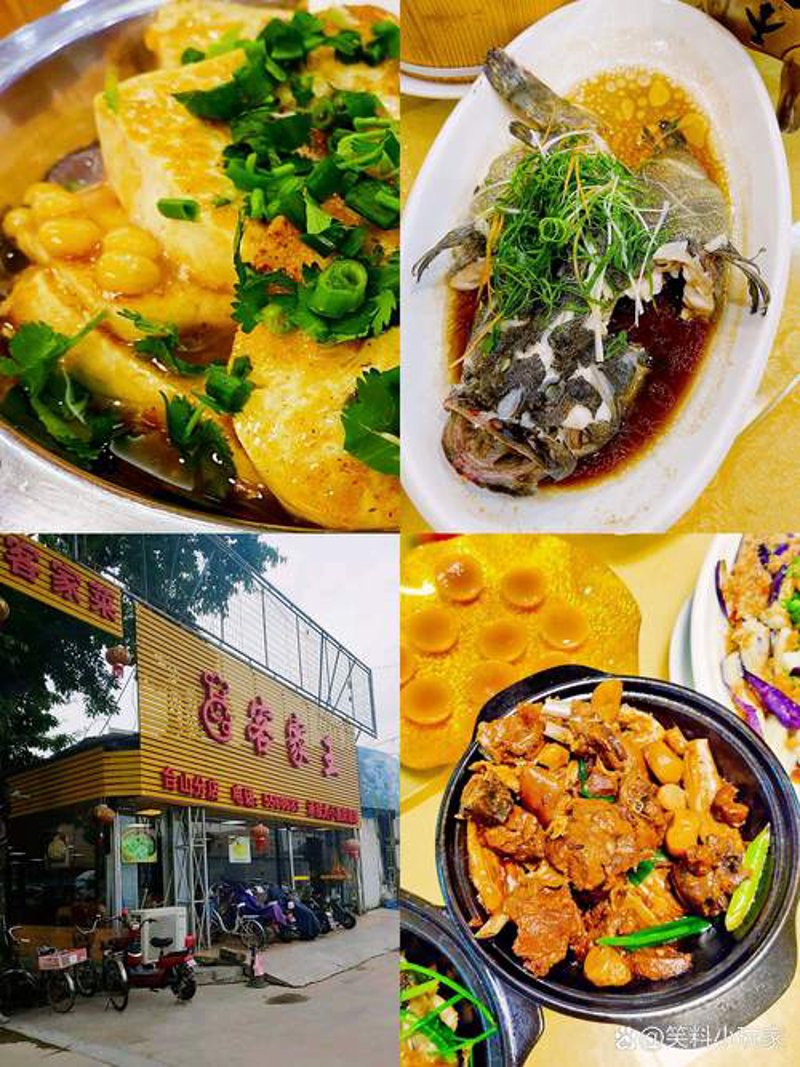 绿色农业种植：避免误区，走向可持续发展之路