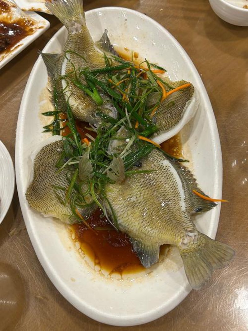 绿色生长：生态农业种植引领未来